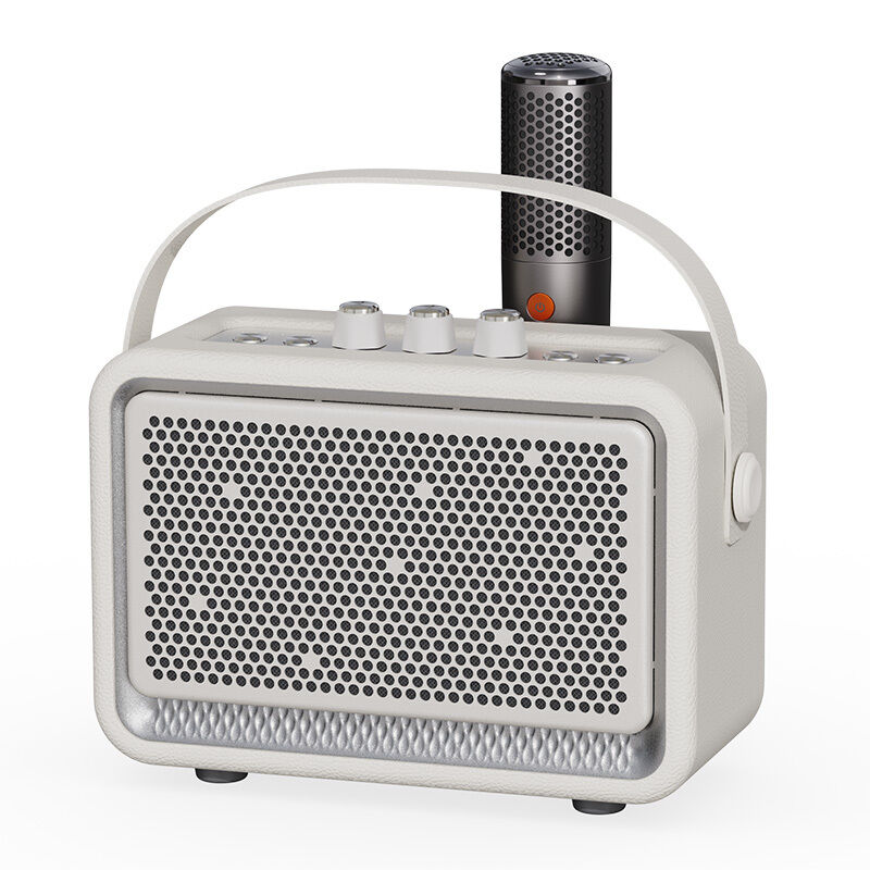 China Online Shopping Party bluetooth Speaker with Mic 30w Portable Home Bass bluetooth Wireless Speaker
